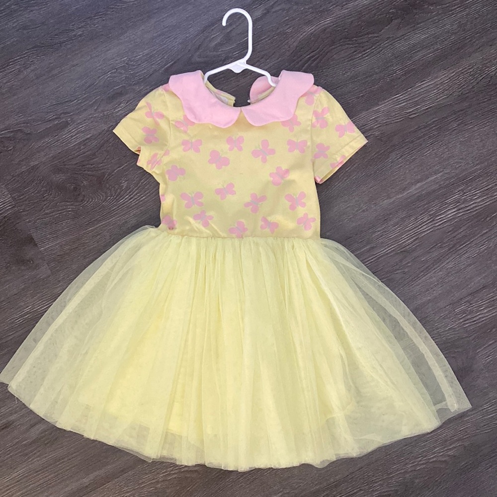 Taylor Joelle butterfly dress